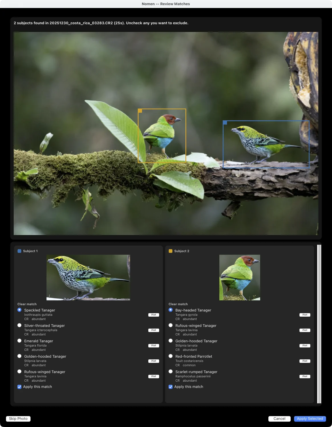 Every subject on a Costa Rica perch: a box on each bird, with Speckled Tanager and Bay-headed Tanager each a clear match.