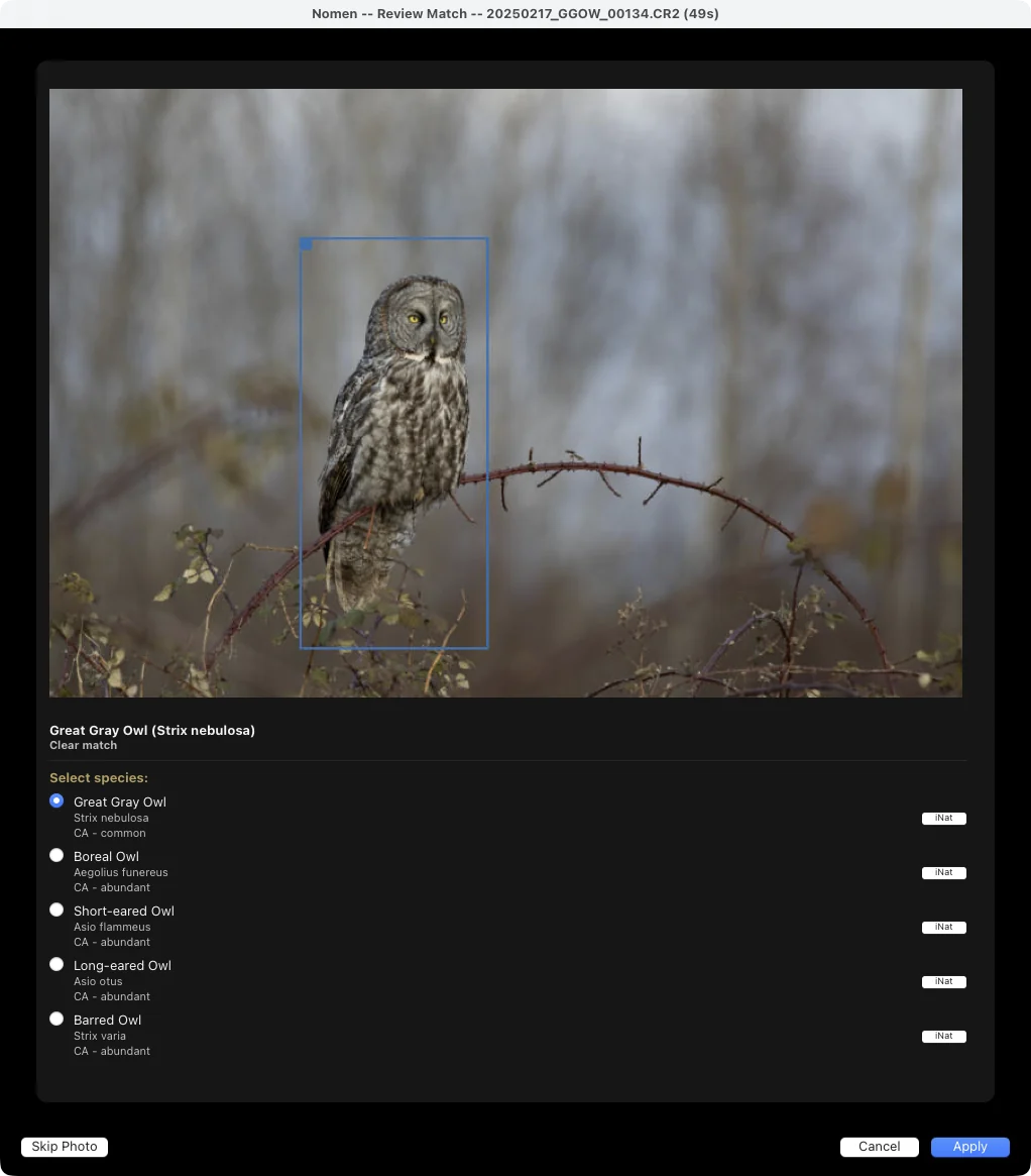 Full review of a Great Gray Owl: the box on the bird, Clear match, and ranked alternatives with their rarity tiers.
