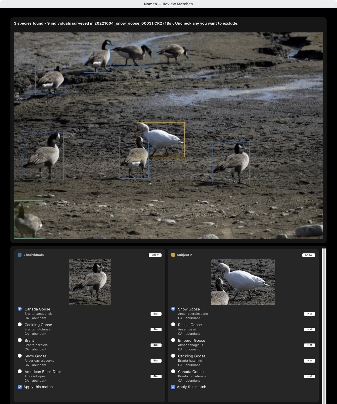 Simple survey on a goose flock: the count, the boxes on the flock, and a card for each species.